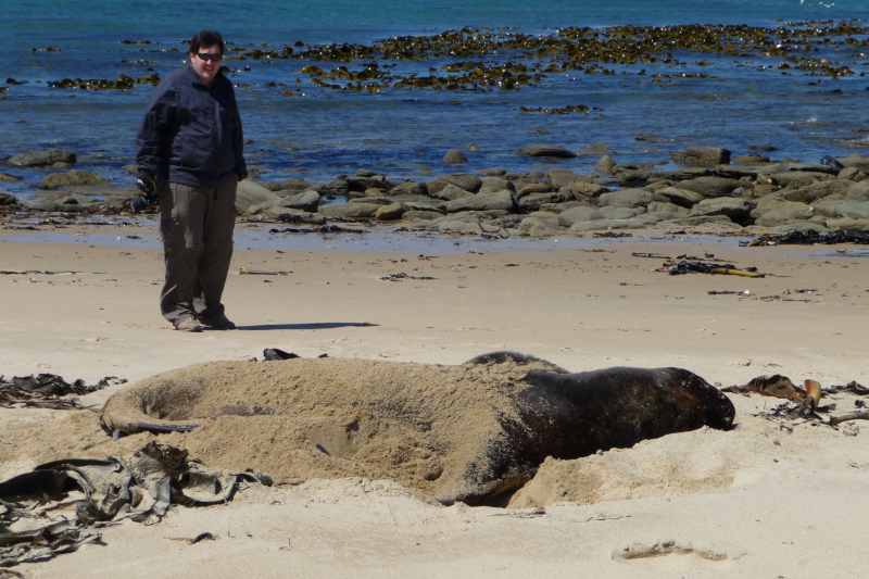 Nieuw-Zeeland 2011 - 1774